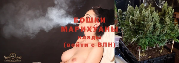 гидропоника Каменка