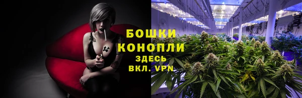 ПСИЛОЦИБИНОВЫЕ ГРИБЫ Каменногорск