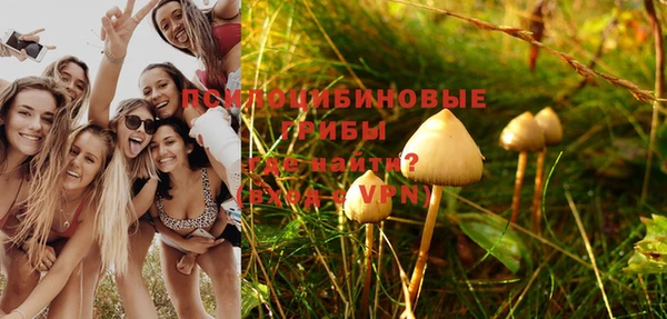ПСИЛОЦИБИНОВЫЕ ГРИБЫ Каменногорск