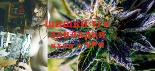 гидропоника Каменка